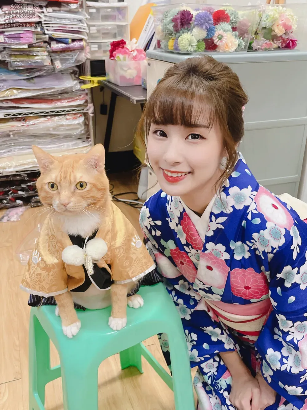 猪饲料(芝芝yami)蓝色和服造型与猫同框照片